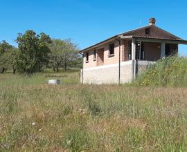 Terreno con ricovero agricolo posizione dominante