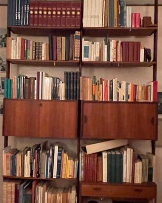 Libreria stile svedese