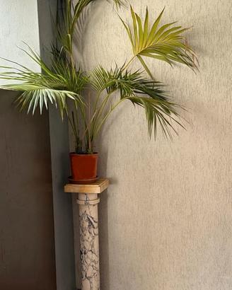 Colonna in marmo di Carrara