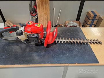 tagliasiepi shindaiwa