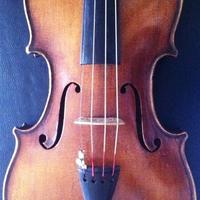 Volino con etichetta Marengo Rinaldi Torino1896