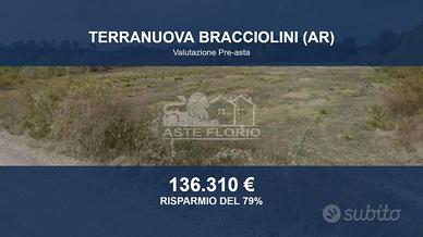 Immobile in asta di 100000 m² a Terranuova Braccio