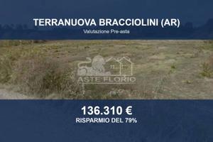 Immobile in asta di 100000 m² a Terranuova Braccio