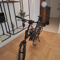 tern vektron s10