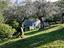 Immagine 27