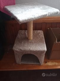 cuccia gatto 