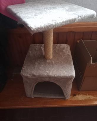 cuccia gatto 