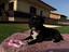 Immagine 2