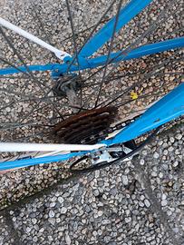 bici bimba ruote diam. 24