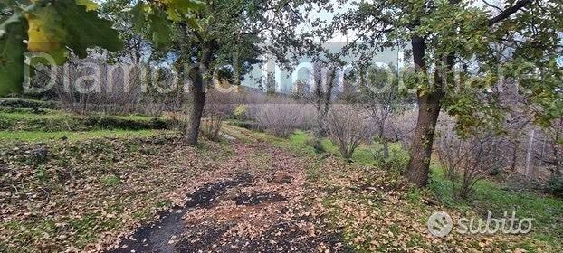 Terreno 22.260 mq con rustici a sant'alfio - Altro