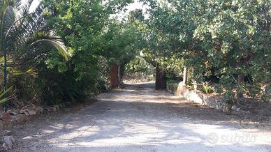 B & B. Casa Vacanza " Villa Dell'Ulivo"