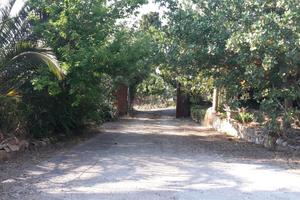 B & B. Casa Vacanza " Villa Dell'Ulivo"