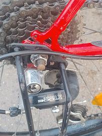 Mountain bike bottecchia