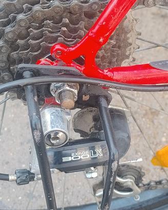 Mountain bike bottecchia