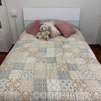 Letto una piazza e mezza💖