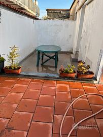 Villaggio ippocampo di mare