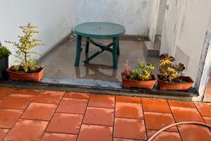 Villaggio ippocampo di mare