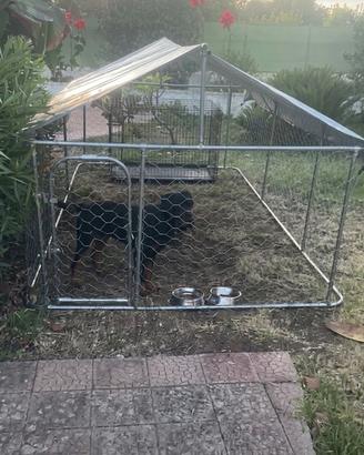Recinto per cani