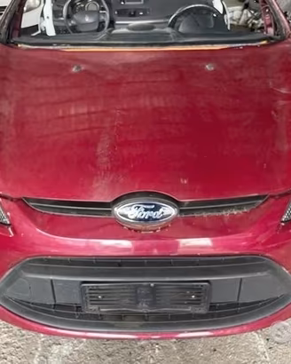 Ricambi Ford Fiesta Motore