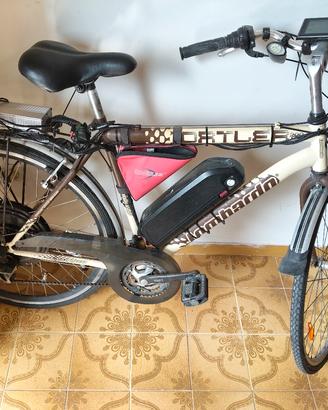 bici elettrica 1200 watt motore grande