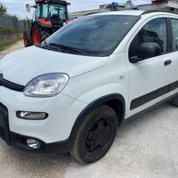 FIAT PANDA 4X4 AUTOVETTURA KM 88372 ANNO