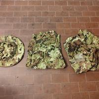 Mimetica Vegetata Italiana 