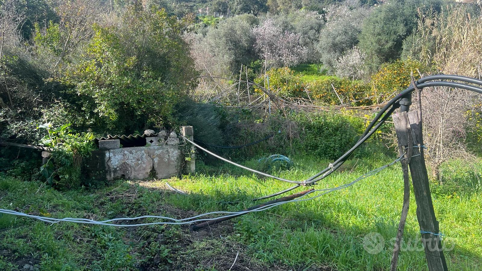 Guspini-Terreno non agricolo con ricovero attrezzi - Vista 5