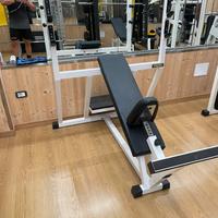 Panca Inchiodata technogym