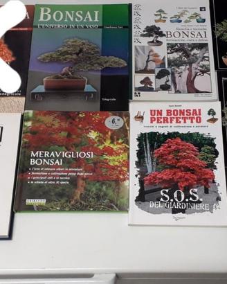Libri bonsai