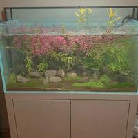 Acquario extrachiaro