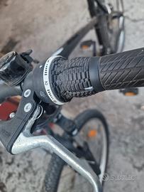 Bicicletta