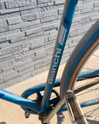 bicicletta da uomo