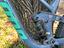 Immagine 4