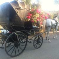 Carrozza d'epoca 1863