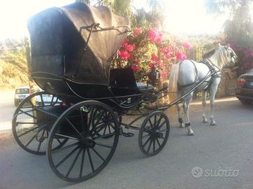 Carrozza d'epoca 1863