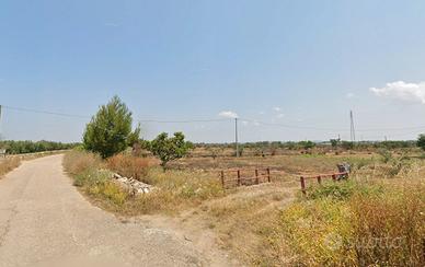 Terreno agricolo 3100 mq Taviano LE Salento