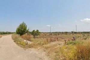 Terreno agricolo 3100 mq Taviano LE Salento
