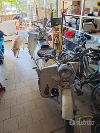 Motoguzzi Galletto