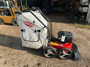 Aspiratore per foglie soffiatore