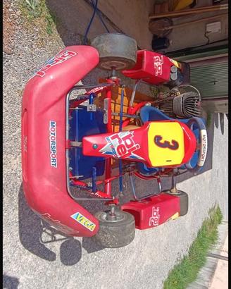 GOKART 100 MOTORE  IAME