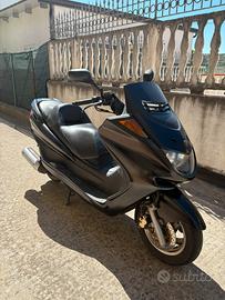 Majesty 250