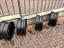 Immagine 2