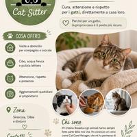 Cat Sitter certificata
