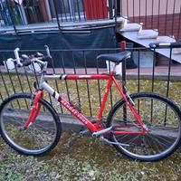 Mountain Bike disponibile e visionabile a Genova