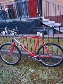 Mountain Bike disponibile e visionabile a Genova