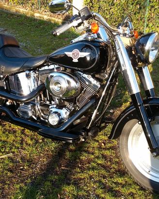 Harley Davidson Fat boy 