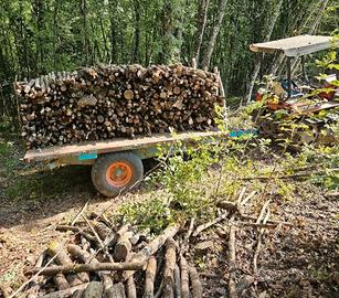 Legna da ardere - taglio su misura