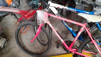 mountain bike rosa come da foto