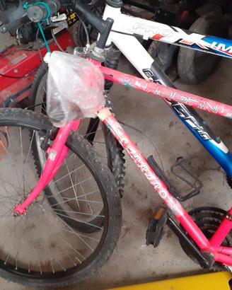 mountain bike rosa come da foto