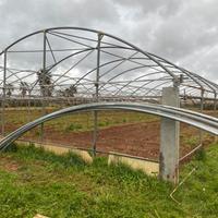 Capannone serra tunnel